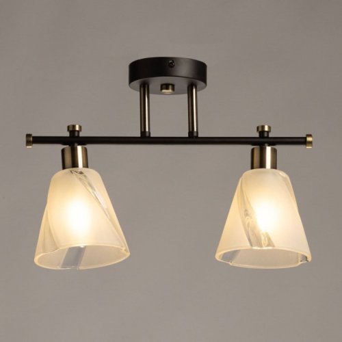 Потолочная люстра Тетро 118010302