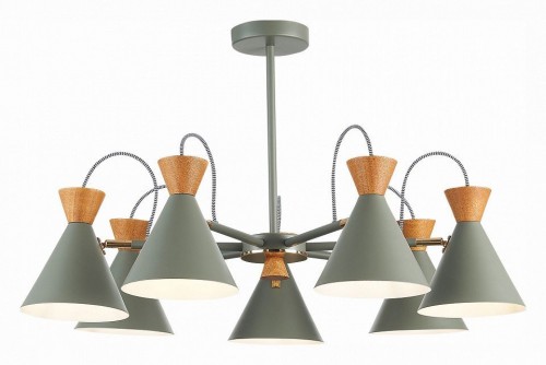 Потолочная люстра Evoluce Modica SLE125112-07