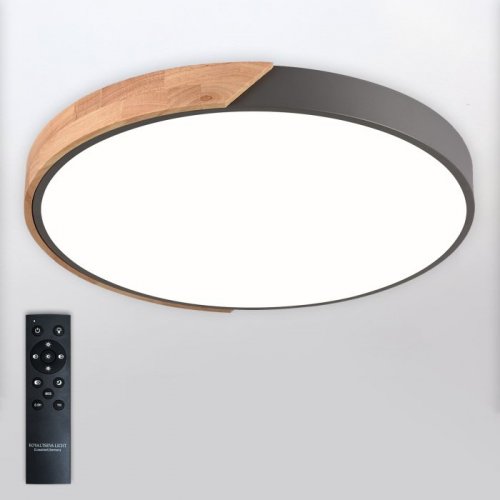 Потолочный светильник Scandinavian LED LAMPS 81183