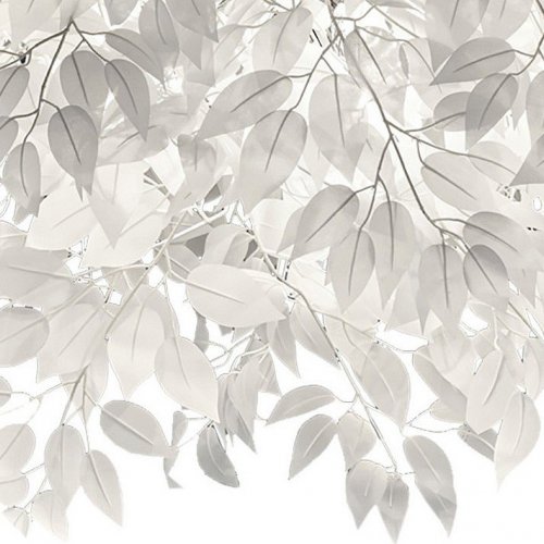 Потолочная люстра Lussole Lgo LSP-0199