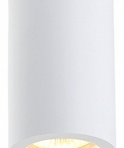 Накладной светильник SIMPLE STORY 2020 2020-1CLW Накладной светильник SIMPLE STORY 2020 2020-1CLW