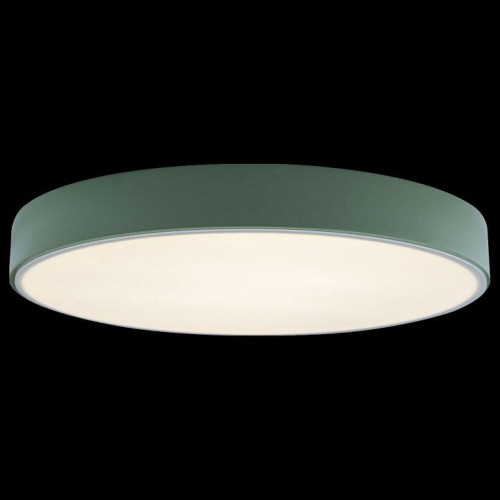 Потолочный светильник Loft IT Axel 10002/24 Green