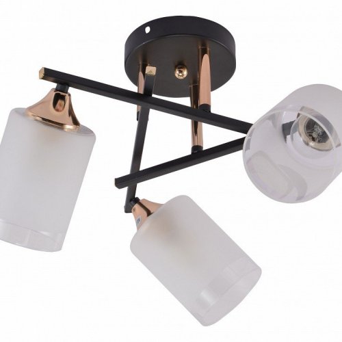 Люстра на штанге Rivoli Fiona Б0059259