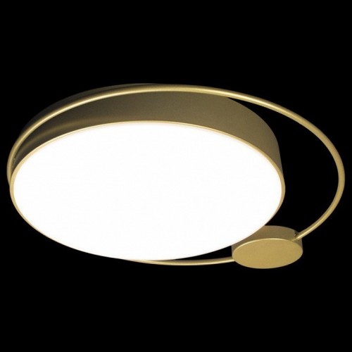 Потолочный светодиодный светильник Loft IT Mike 10063