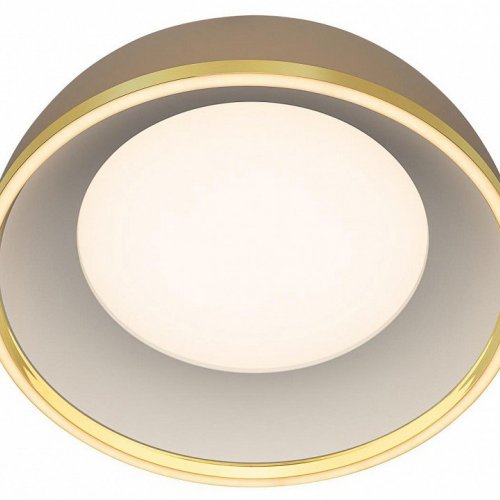 Накладной светильник Citilux FLOOM CL736152