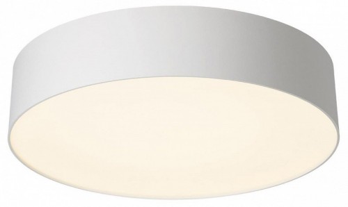 Накладной светильник Citilux BART CL755290