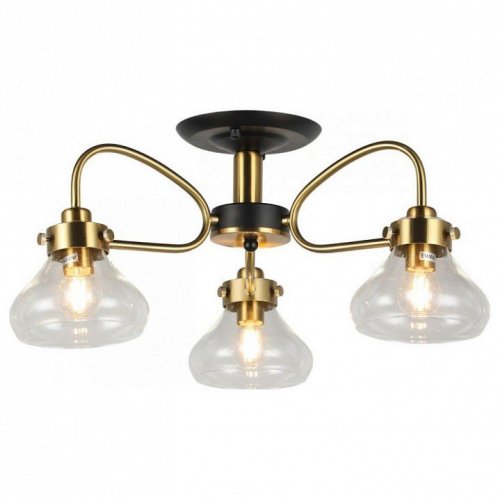 Потолочная люстра Imex MD.73963-3-S-BK+BR