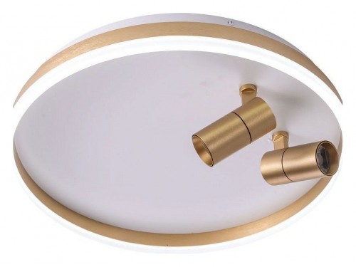 Потолочный светильник Zortes Raizy ZRS.1888.02