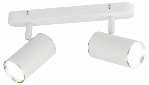 Спот Эра OL35-2 WH Б0056365