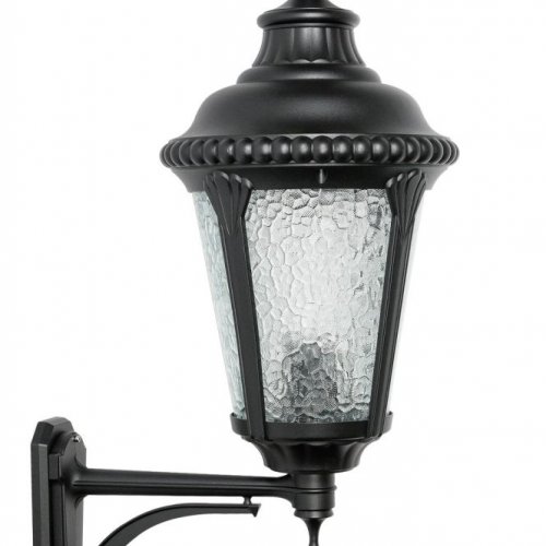Настенный фонарь уличный Oasis Light 79751М Bl