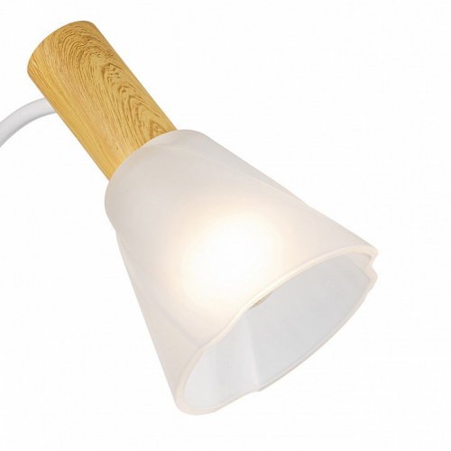 Потолочная люстра Escada Vardo 1131/3P