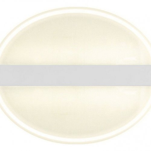 Потолочный светодиодный светильник Ambrella light Original FA606