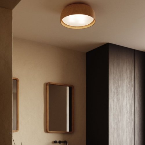 Потолочный светильник Xaviera L0100025SS40