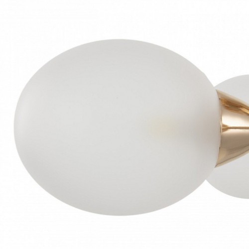 Потолочная люстра Arte Milano Napoli-2420 332420/5 FGD