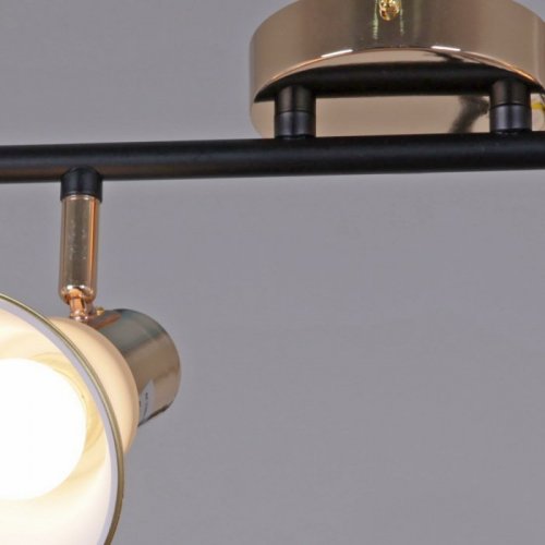 Спот  05901-0.8-04 BK+FGD