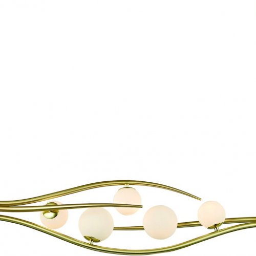 Подвесная люстра Indigo Flusso 11025/5P Gold V000230