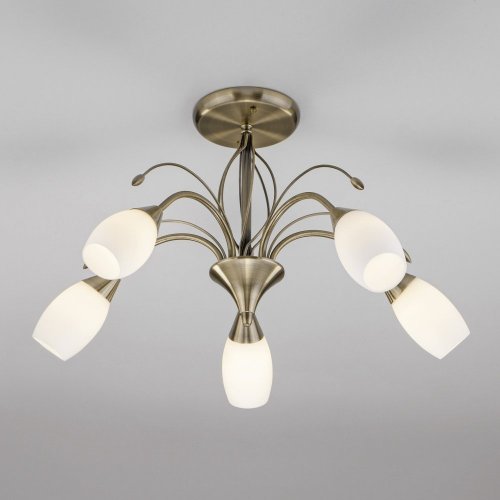 Потолочная люстра Eurosvet Ginevra 30280/5 Потолочная люстра Eurosvet Ginevra 30280/5