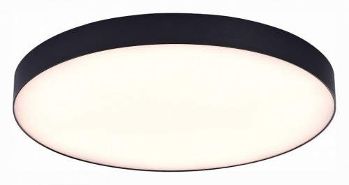 Потолочный светодиодный светильник ST Luce ST606.432.96