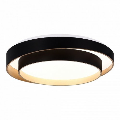 Потолочный светильник Evoluce Crosby SLE6009-402-01 Потолочный светильник Evoluce Crosby SLE6009-402-01