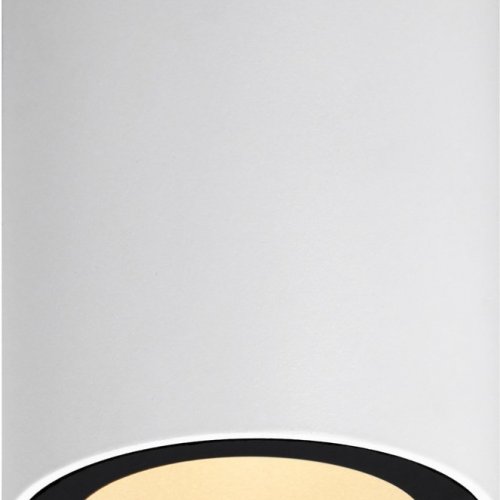 Точечный светильник ЭРА OL48 WH/BK