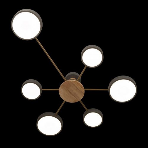 Потолочная люстра Loft IT Sunrise 10316/6 Grey