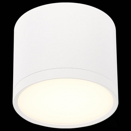 Накладной светильник ST Luce Rene ST113.532.09 Накладной светильник ST Luce Rene ST113.532.09