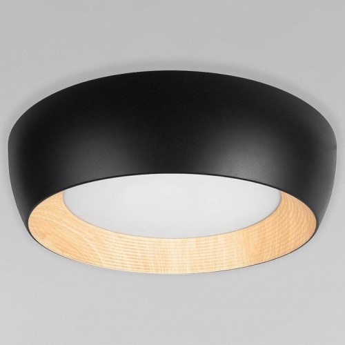 Потолочный светильник Loft IT Folk 10255/500 Black