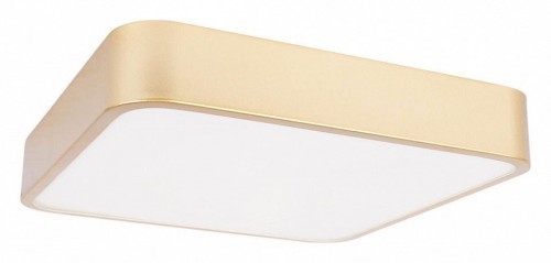 Потолочный светильник Loft IT Flims 10228/C