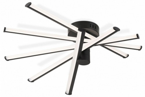 Потолочная люстра Comfort FL6222