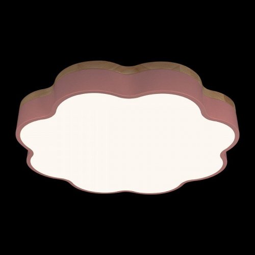 Потолочный светильник Axel 10225/36 Pink