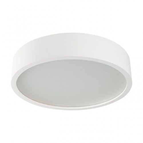 Настенные потолочные светильники Kanlux JASMIN 370-W/M 23127