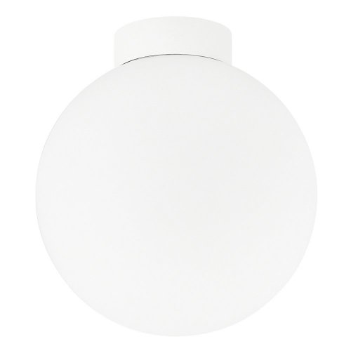 Настенно-потолочный светильник Munich DL18031G9White 200