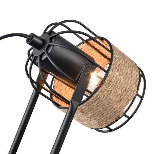 Интерьерная настольная лампа Vele Luce Extra VL6472N01