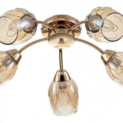 Потолочная люстра Escada Allium 663/5P