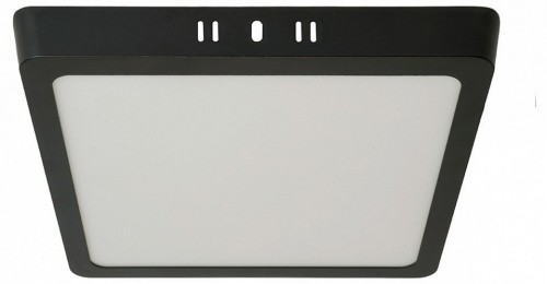 Потолочный светодиодный светильник Feron AL504 51074