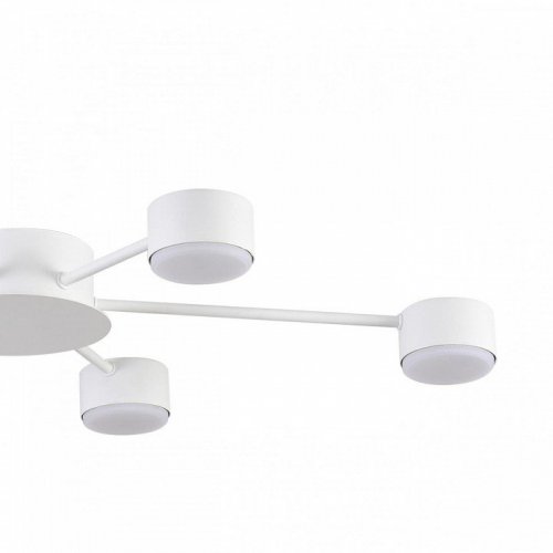 Потолочная люстра Lumion Torina 8343/6C Потолочная люстра Lumion Torina 8343/6C
