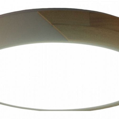 Потолочный светильник Zortes Alberro ZRS.01289.48 Потолочный светильник Zortes Alberro ZRS.01289.48