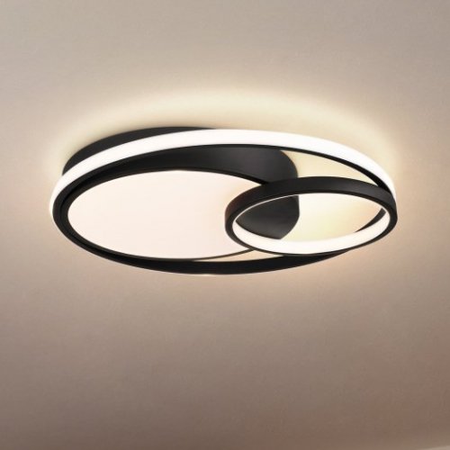 Потолочный светильник Freya Nation Market FR10028CL-L80B