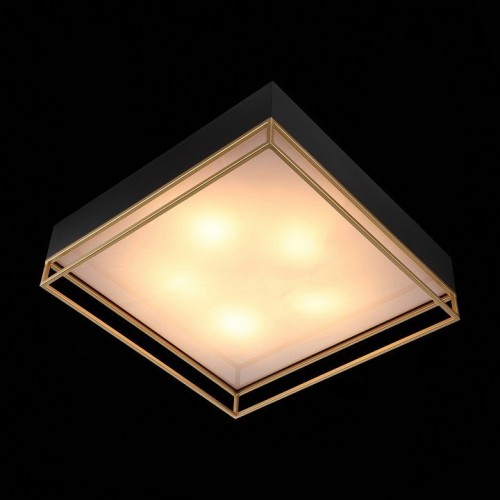 Потолочный светильник ST Luce Chodo SL1127.422.05 Потолочный светильник ST Luce Chodo SL1127.422.05