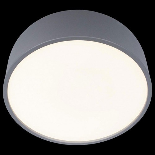 Потолочный светильник Loft IT Axel 10201/350 Grey
