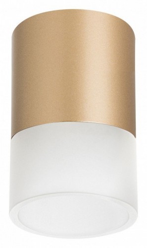 Точечный светильник Lightstar Rullo R349081