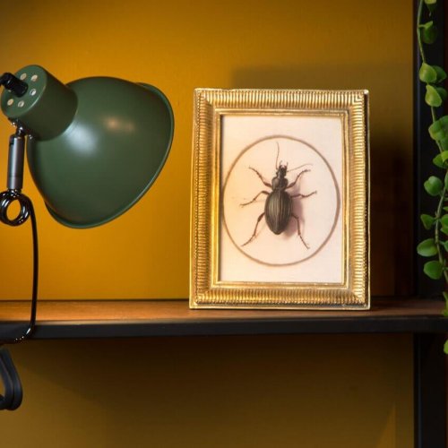 Настольная лампа Lucide Moys 45987/01/33