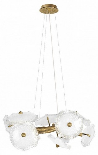 Подвесная люстра Loft IT Bloom 10352/650 AB