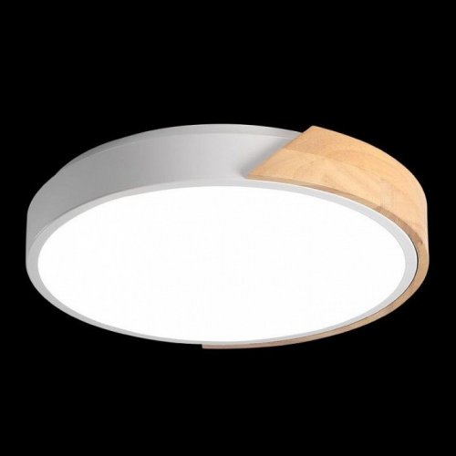 Потолочный светодиодный светильник Jazzway PPB Sсandic-R 5036956 Потолочный светодиодный светильник Jazzway PPB Sсandic-R 5036956