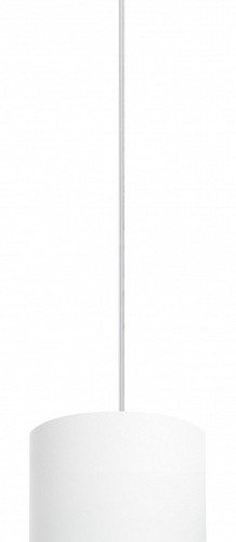 Подвесной светильник Rullo RP34863487