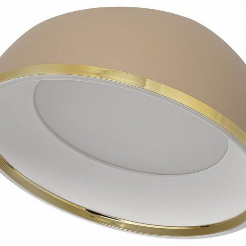 Накладной светильник Citilux FLOOM CL736152