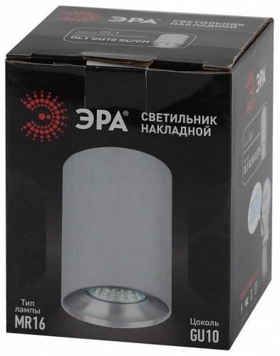 Потолочный светильник ЭРА OL1 GU10 SL/CH