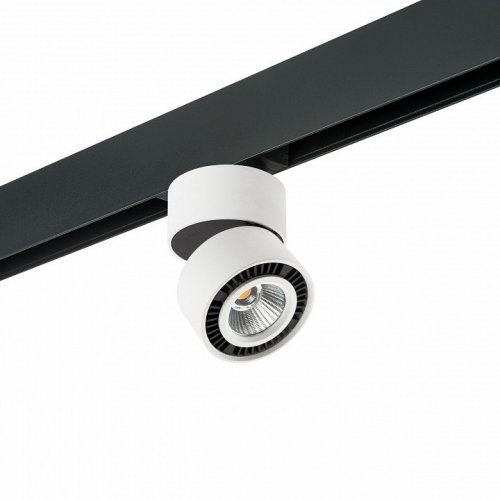 Светильник на штанге Lightstar Forte Muro PRO214816 Светильник на штанге Lightstar Forte Muro PRO214816