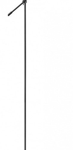 Торшер Globo Gianna 24099SB