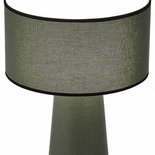 Интерьерная настольная лампа ST Luce Jackie SL1354.704.01